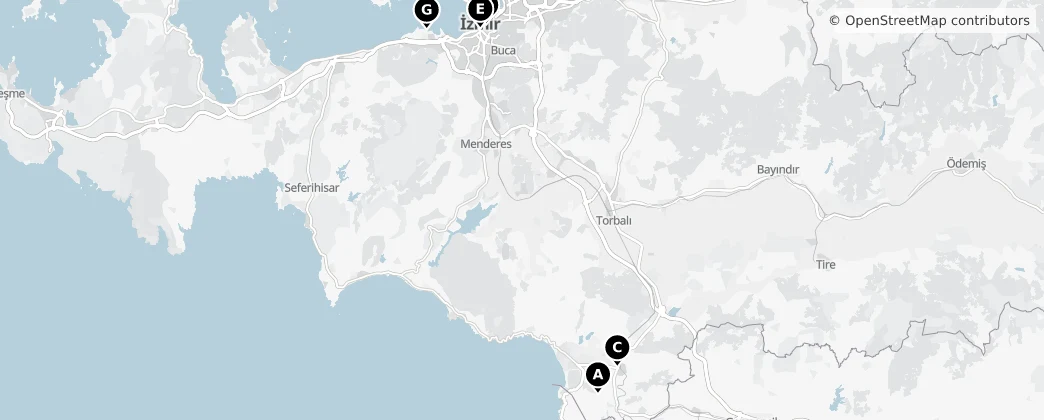 Map of Smirne