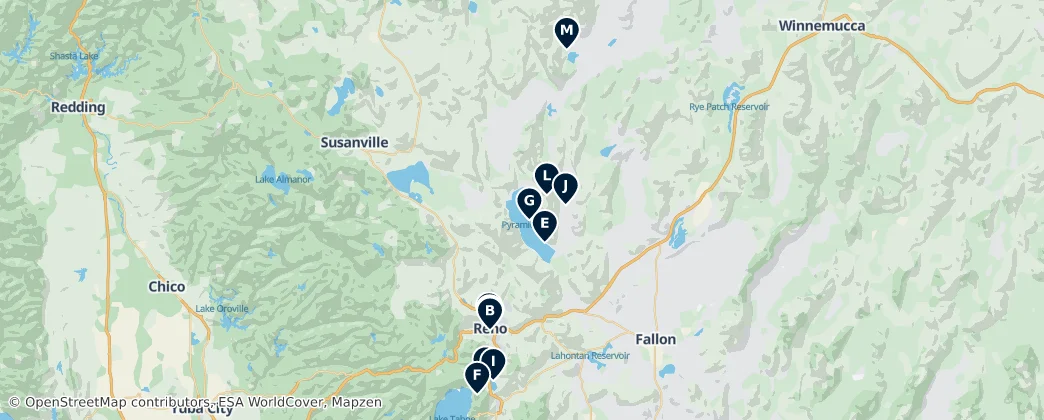Map of Contea di Washoe