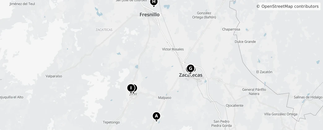 Map of Zacatecas