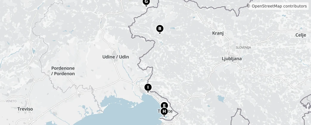 Map of Friuli-Venezia Giulia