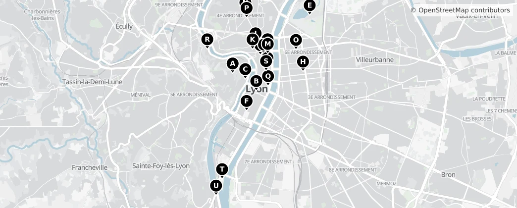 Map of Lyon