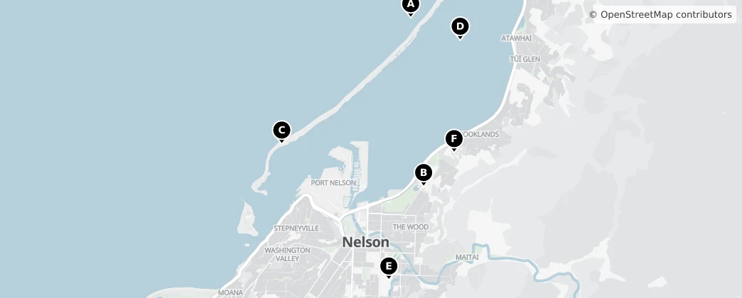 Map of Nelson