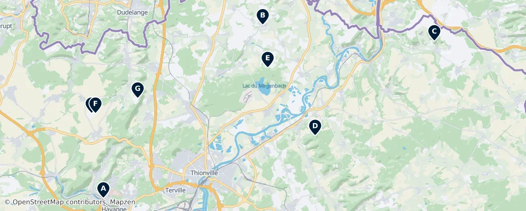 Map of Arrondissement Thionville