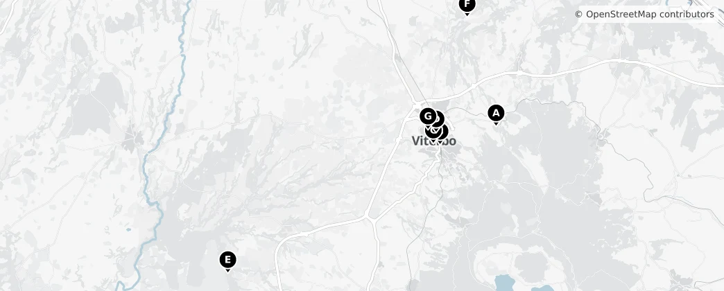 Map of Viterbo
