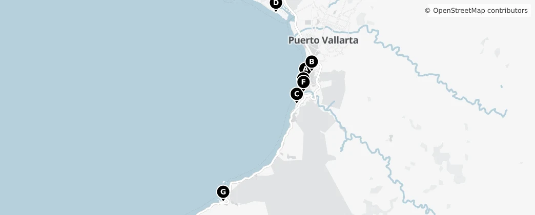 Map of Puerto Vallarta