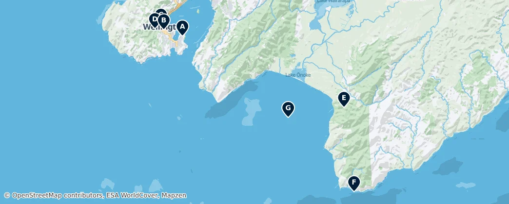 Map of Wellington