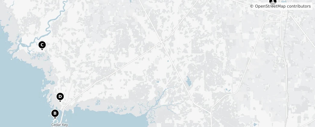 Map of Condado de Levy