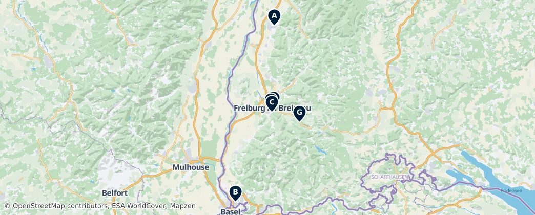 Map of Friburgo