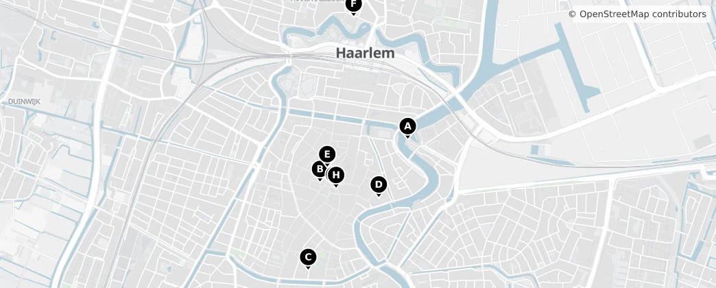 Map of Haarlem