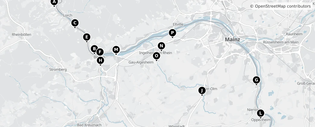Map of Mainz-Bingen
