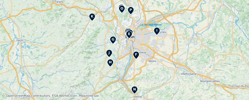 Map of Arrondissement de Lyon