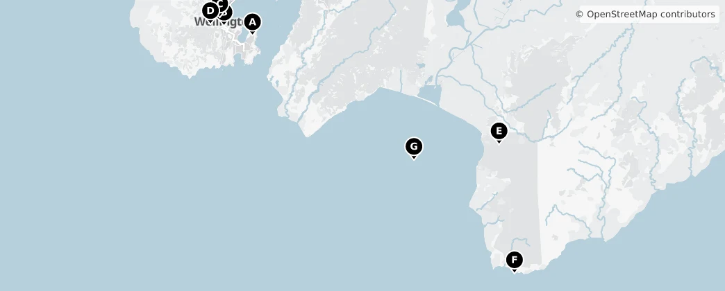 Map of Wellington