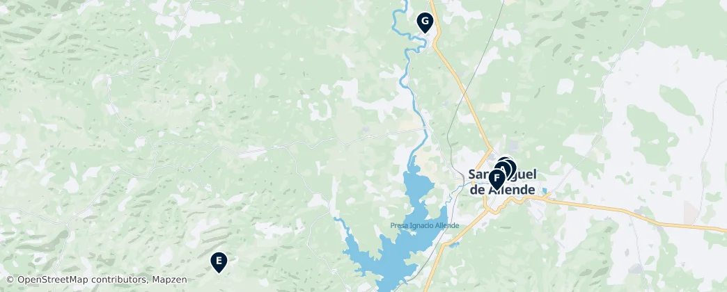 Map of Сан-Мигель-де-Альенде