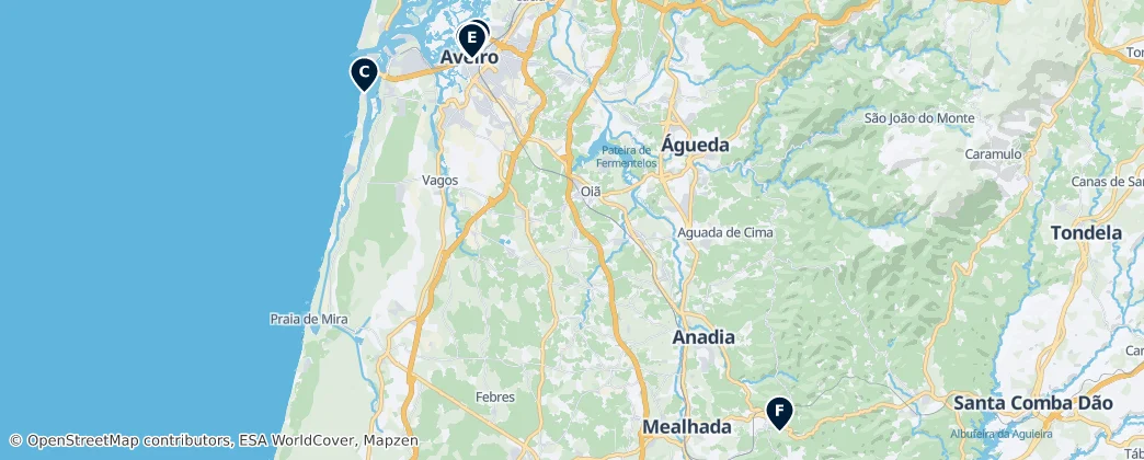 Map of Baixo Vouga