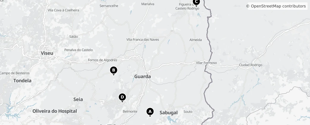 Map of Beira Interior Norte