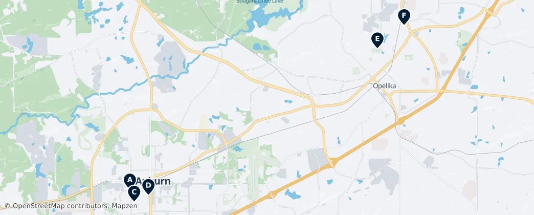Map of Lee County, Alabama