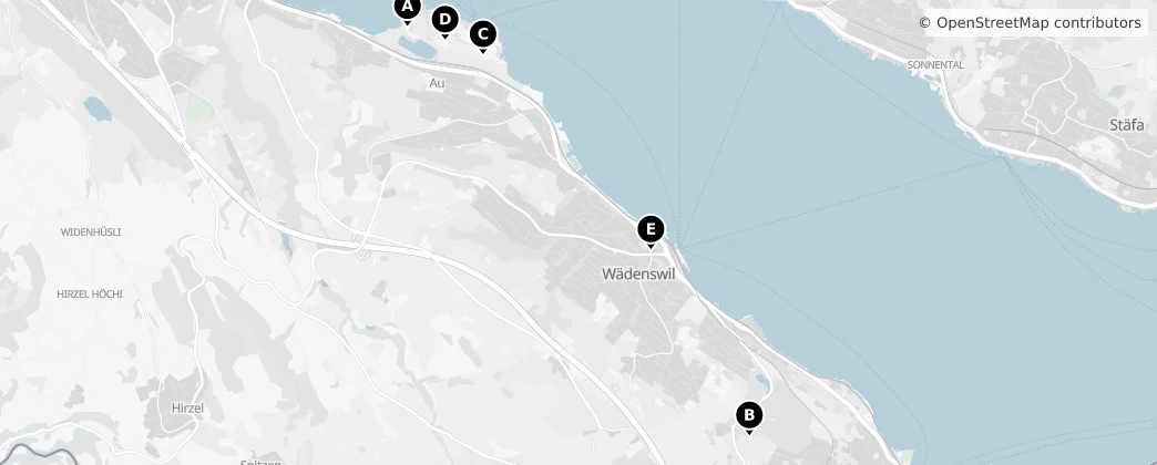 Map of Wädenswil