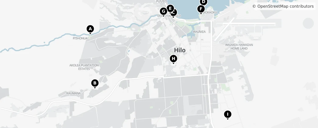 Map of Hilo, Hawaii