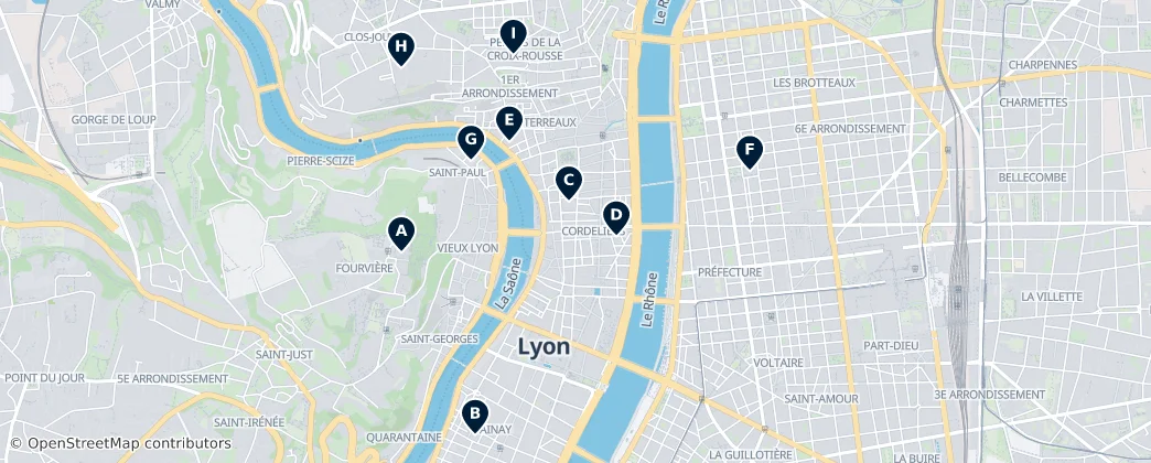 Map of Lyon