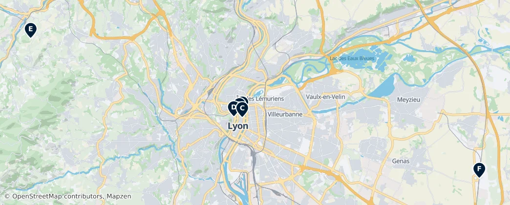 Map of Lyon