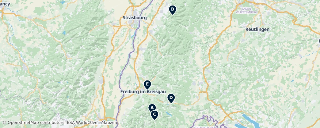 Map of Regierungsbezirk Freiburg