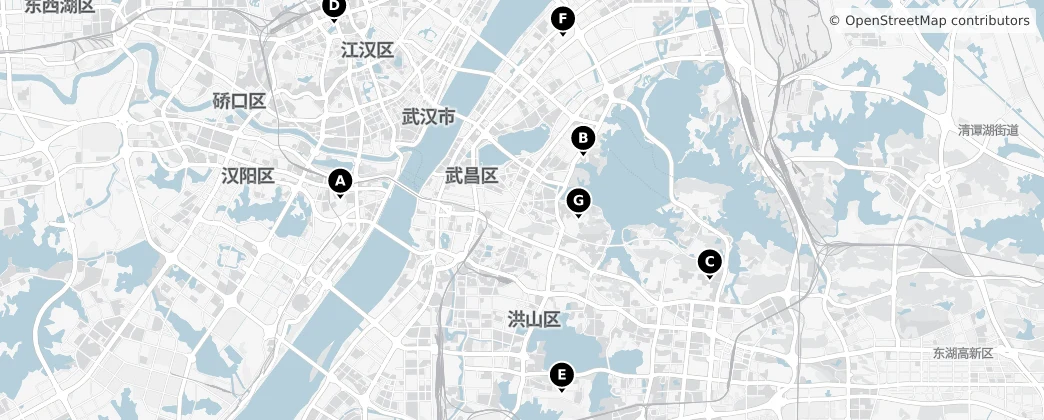 Map of Vuhan