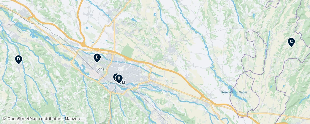 Map of Arrondissement of Pau