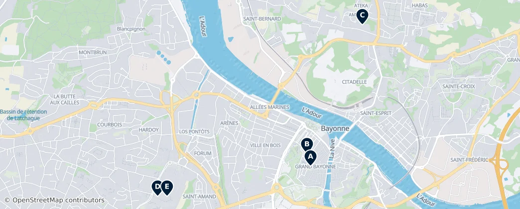 Map of Bayonne