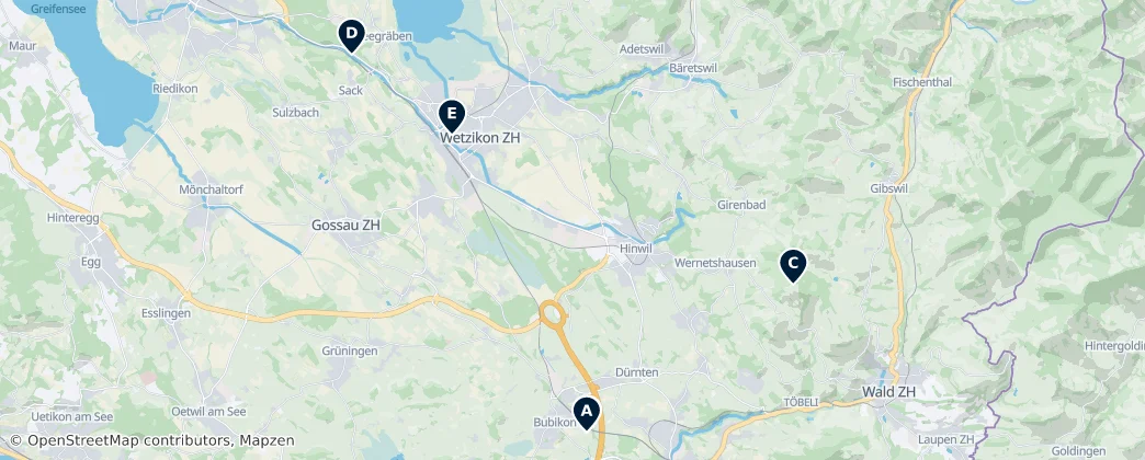 Map of Hinwil District
