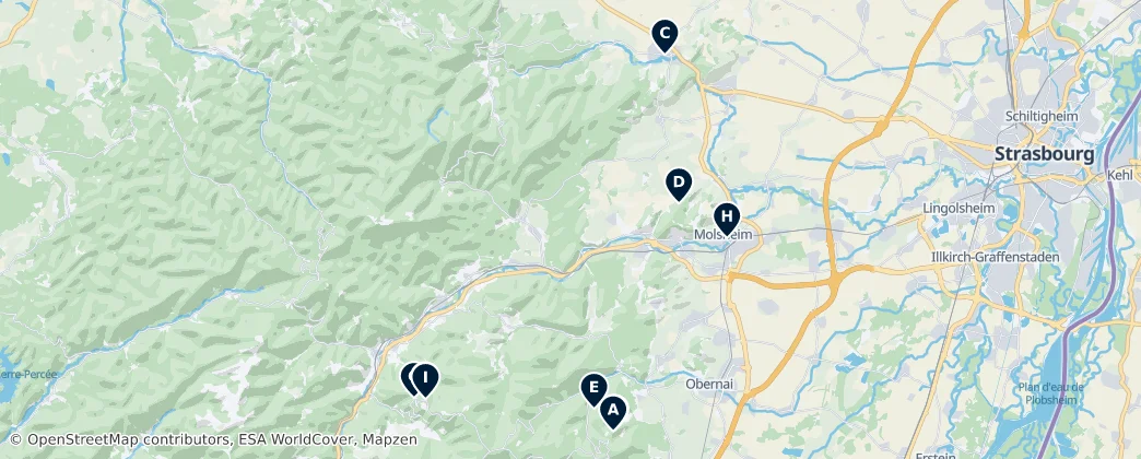 Map of Arrondissement of Molsheim