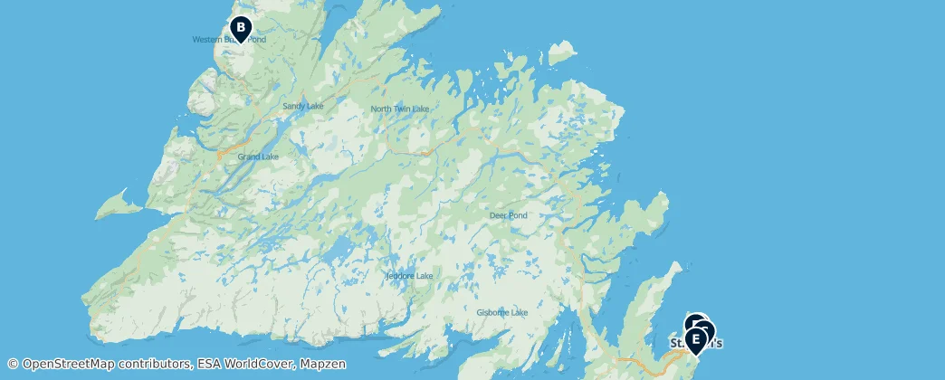 Map of Newfoundland