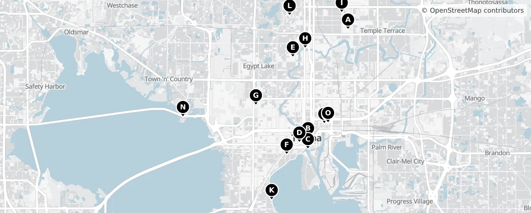 Map of Tampa