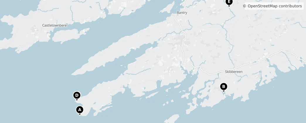Map of West Cork Municipal District (2014-2019)