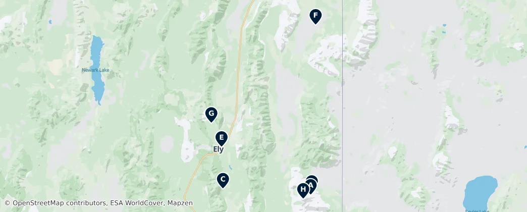 Map of White Pine