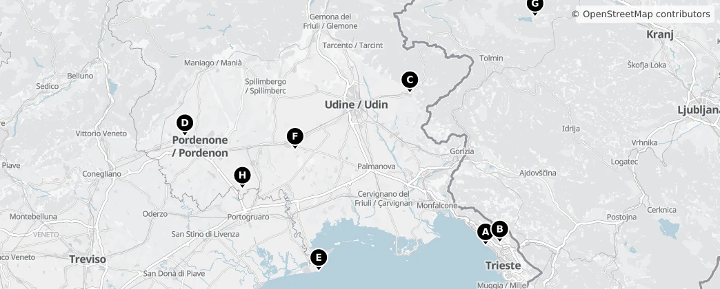 Map of 弗留利-威尼斯朱利亚大区