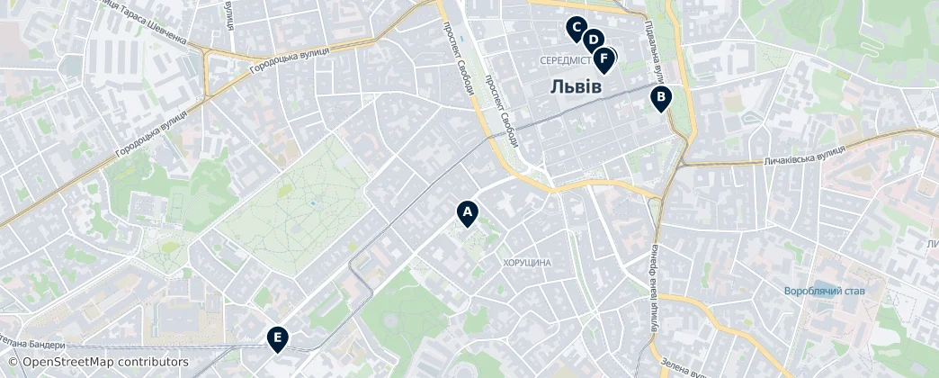 Map of Halytskyi District, Lviv
