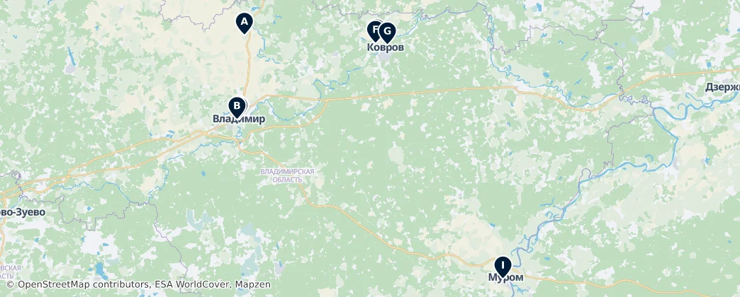 Map of 弗拉基米爾州