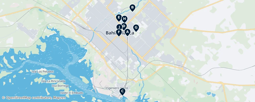 Bahía Blanca Essentials — Mappa