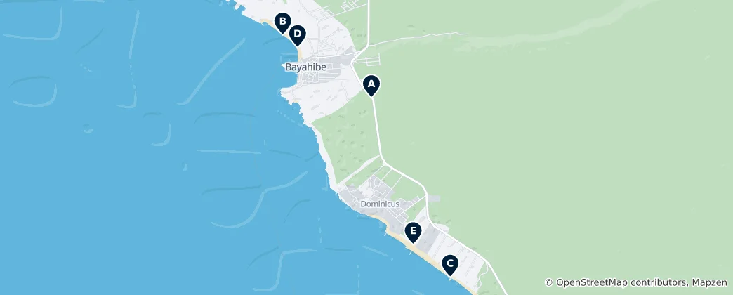 Carte de Bayahíbe's Absolute Essentials