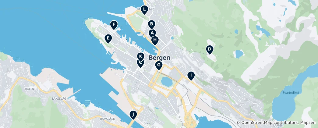 Tarihi Bergen Haritası