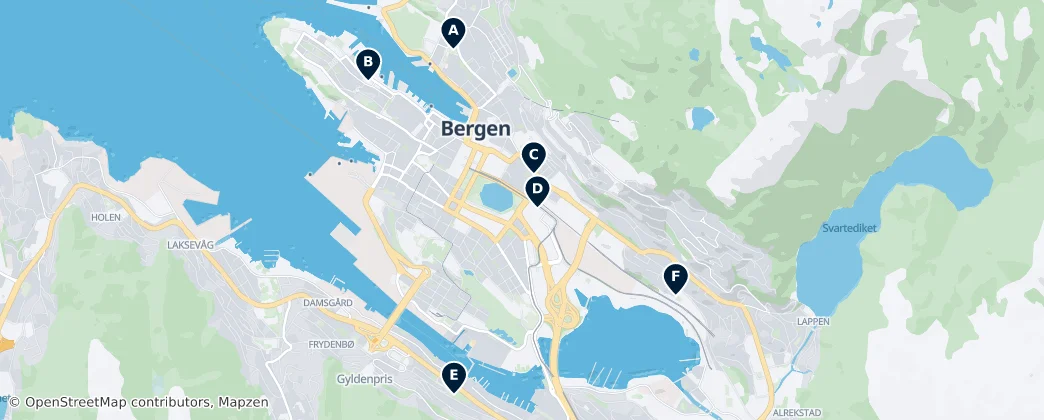 Mappa di Historic Churches of Bergen