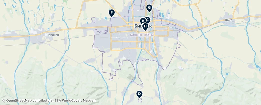 Best of Bishkek City — Map