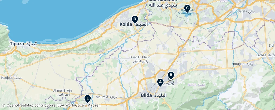 Blida Essentials — Mappa