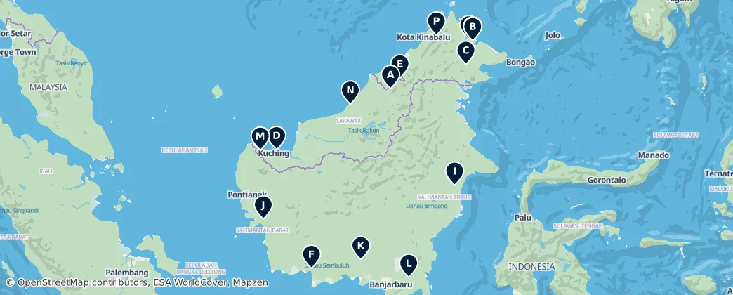 Borneo Rainforests and Wildlife — Mapa