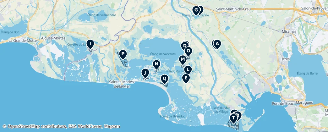 Camargue Wetlands Birding Spots — Map