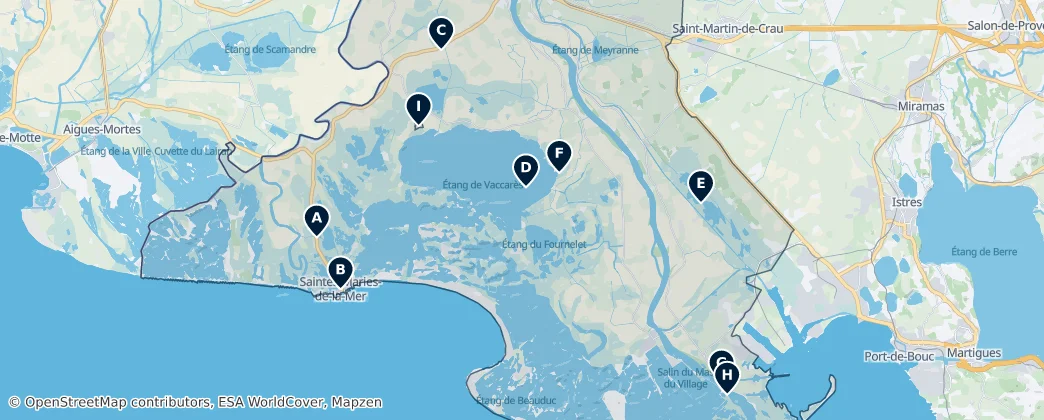 Parc naturel régional de Camargue Essentials — Map