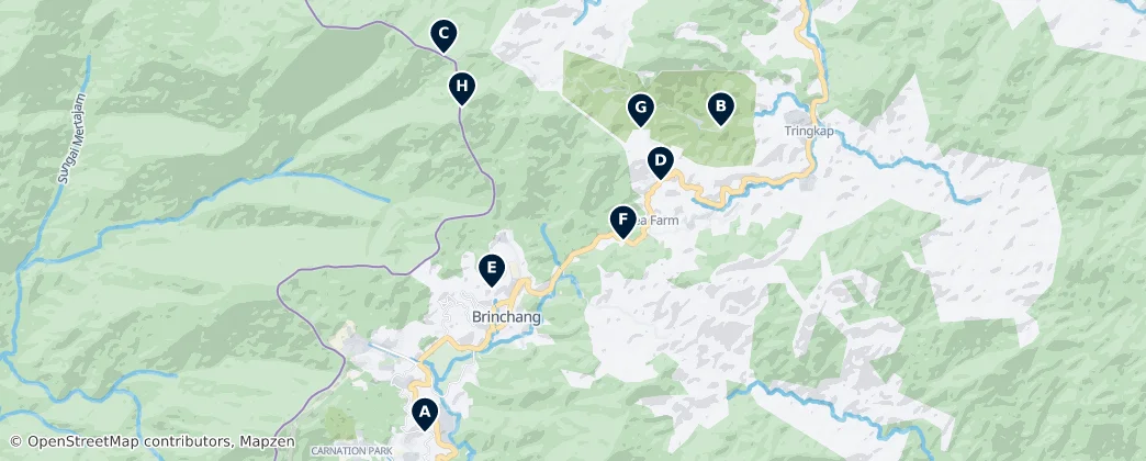 Cameron Highlands Unmissables — Mapa