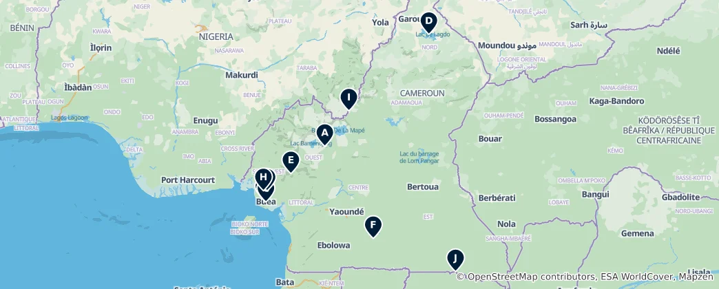 Map of Cameroon Essentials
