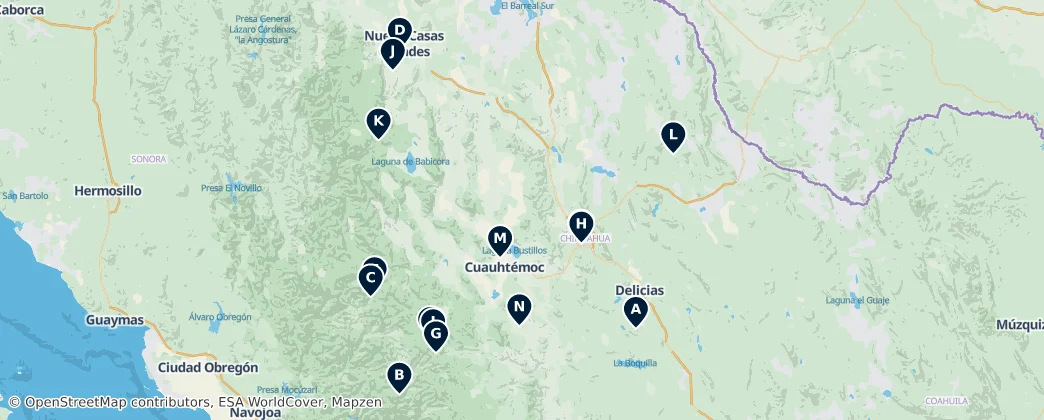 Best of Chihuahua — Map