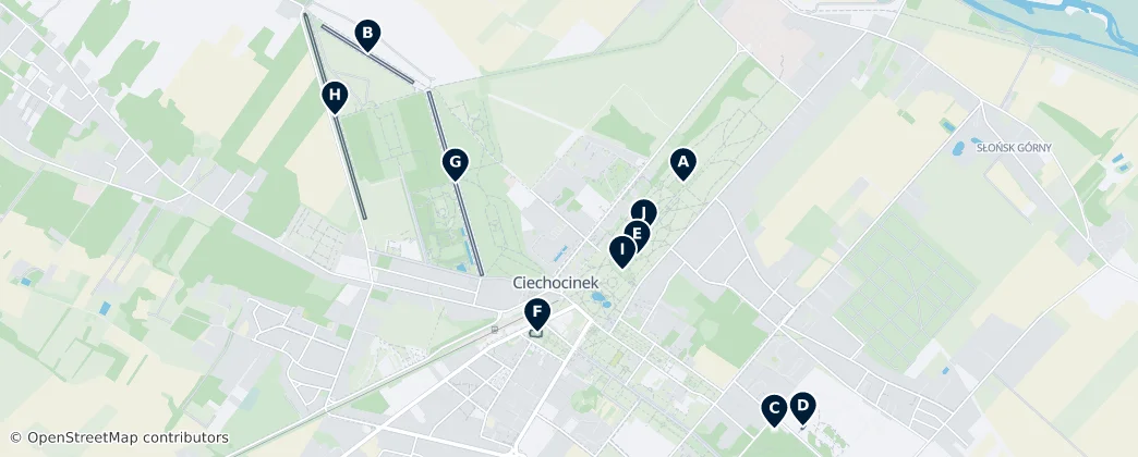 Ciechocinek Essentials — Map